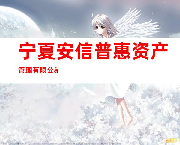 宁夏安信普惠资产管理有限公司